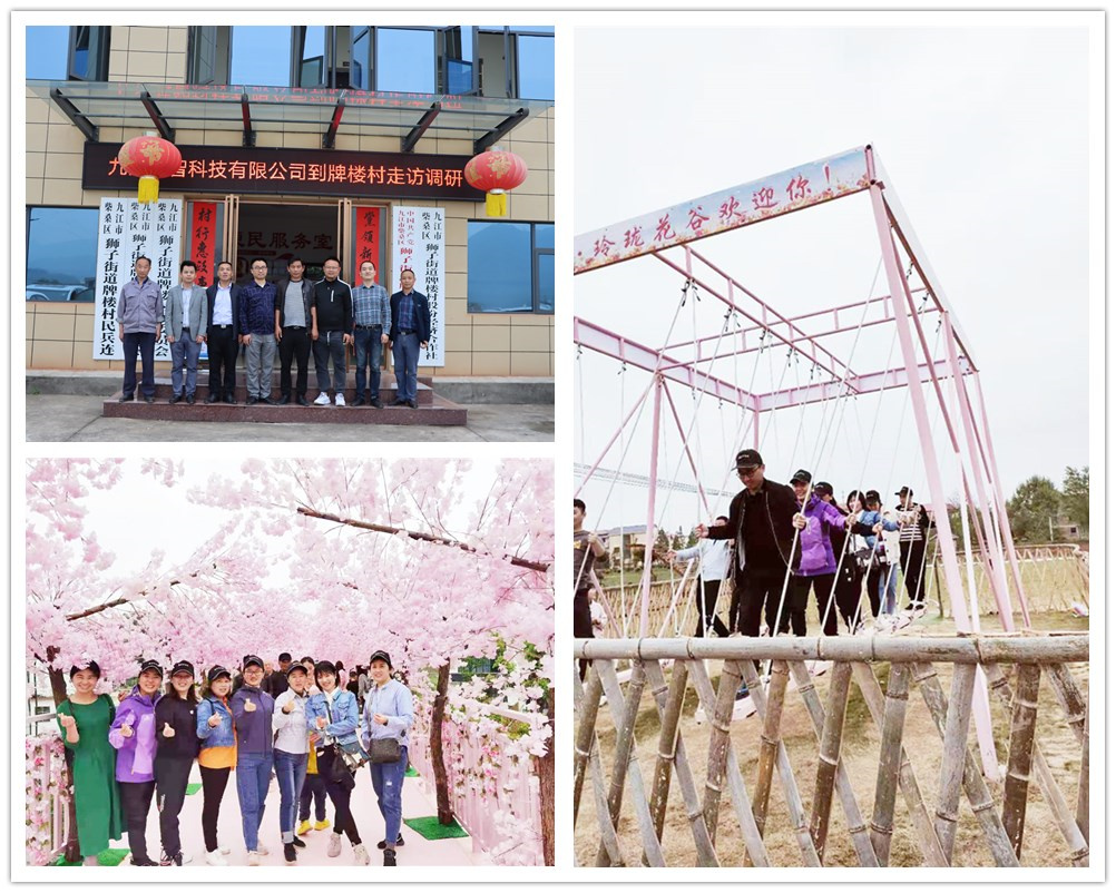 英智科技團建